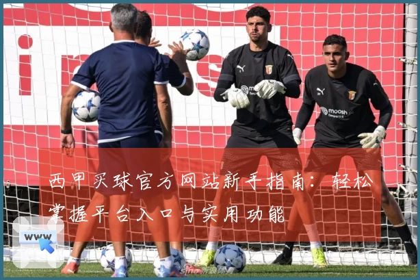西甲买球官方网站新手指南：轻松掌握平台入口与实用功能