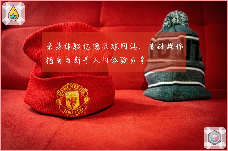 亲身体验亿德买球网站：基础操作指南与新手入门体验分享